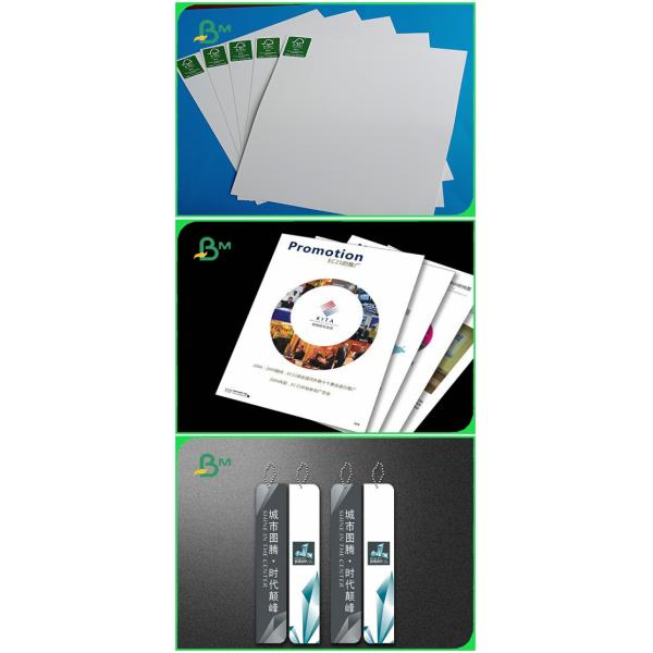 FSC Approved Good printing Coated Glossy Paper for trademark or book cover High Stiffness Gloss Art Paper White Color With Good Printing OEM / ODM Available