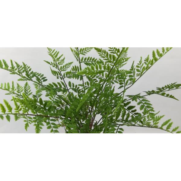 Artistic 62CM 12 Leaves Faux Fern Plants For Catering