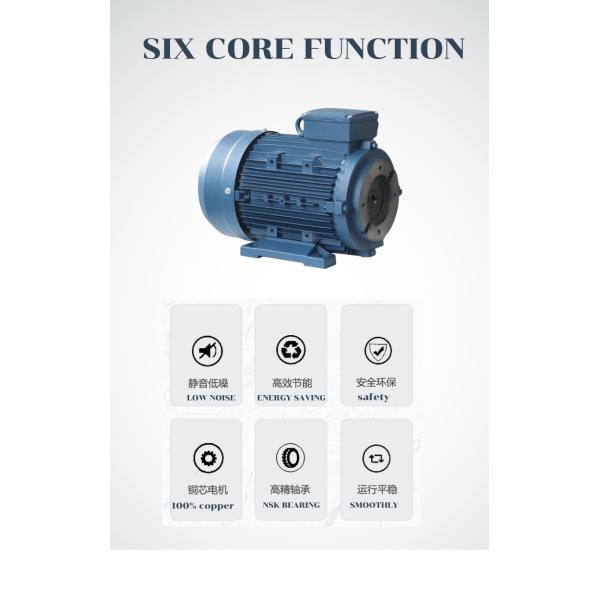 hydraulic motor