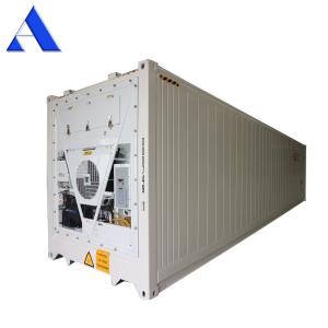 40ft Reefer Deep Blast Feezer Containers Polyurethane Insulated Thermo King