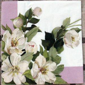 OEM Christmas Party Napkins