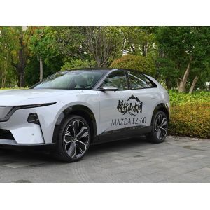 Popular Used Cars Basic Parameters for 1.71L/100km Electric Energy Equivalent