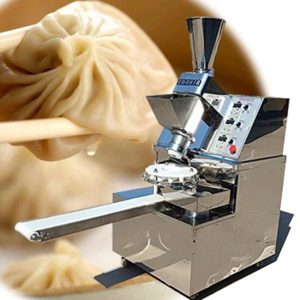 Momo Chinese Grain Processing Machine Steamed Stuffed Buns Making Machine