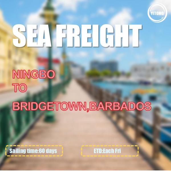 Buy Ningbo To Bridgetown Barbados Sea Freight Forwarding Services Via Kingston at wholesale prices