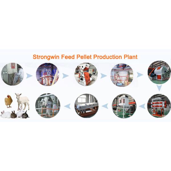 50T/H Pig Farm Animal Feed Pellet Manufacturing Equipment