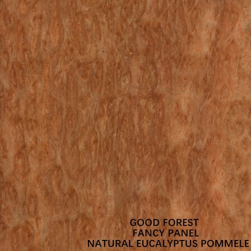 Special Eucalyptus Fancy Plywood Board Pommele Grain 2745mm Length Size For