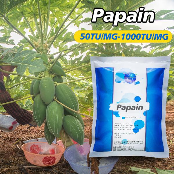 Buy protease price 300USP-6000USP papain manufacturer,  enzyme preparation with price advantage at wholesale prices