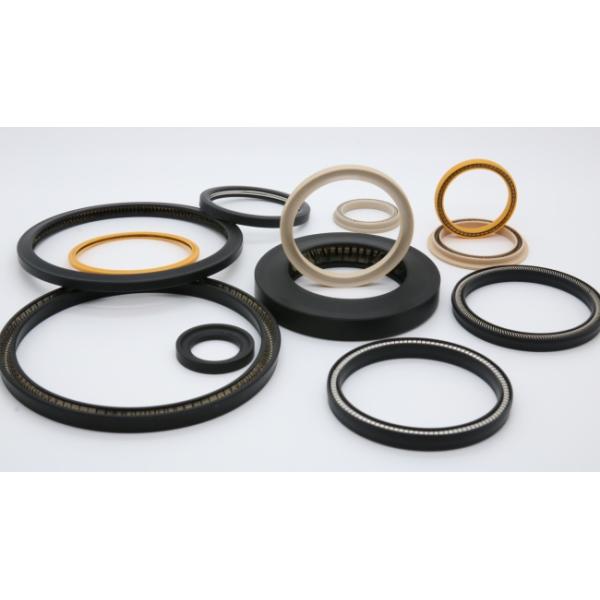 Weather Resistance PTFE Spring Energised Seal 90 Shore A For Petroleum Industry