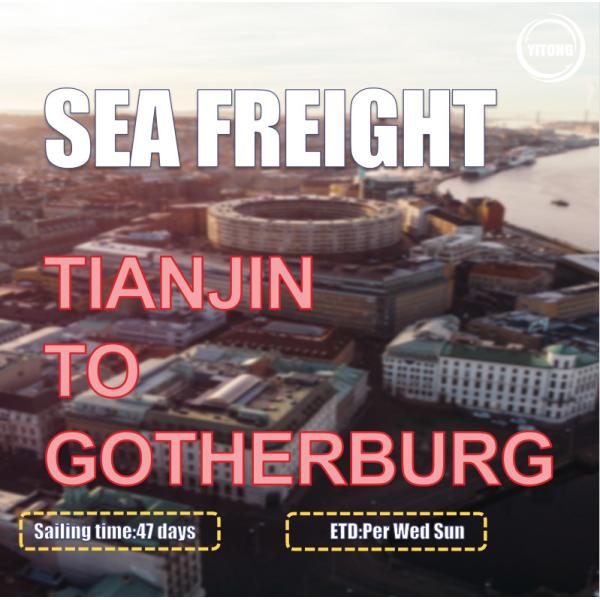 Buy 47 Days International Sea Freight China To Europe Gothenburg Sweden at wholesale prices
