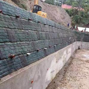 1m Width High Strength PP/HDPE Uniaxial Plastic Geogrid for Retaining Wall 110kn