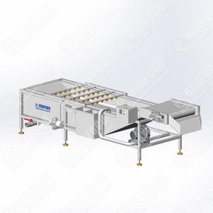 New Arrival Fruit And Veg Washing Machine Mini