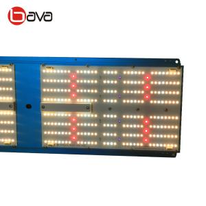 Quality Waterproof IP65 QB288 3000k 5000k Quantum Board LM301H 240W for sale