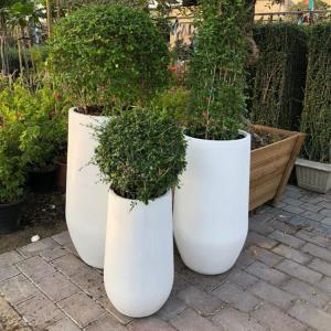 Effortlessly Elevate Your Plant Display With Fiber Clay Planters