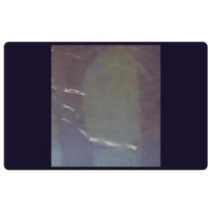 C205 BTDM-Ⅰ Vacuum coating fingerprint developing instrument