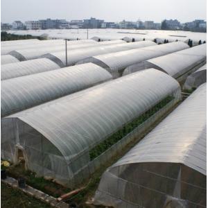 OEM ODM Plastic Sheeting Rolls Greenhouse Anti Aging Anti Fog