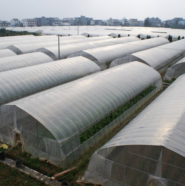 OEM ODM Plastic Sheeting Rolls Greenhouse Anti Aging Anti Fog