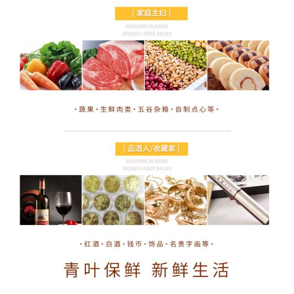 NEW Househlod Food Vacuum Sealer Packaging Machine Film Sealer Vacuum packer DZ-108