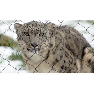 Black oxide stainelss steel cable mesh