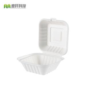 Quality Biodegradable catering Burger takeaway food container box for sale