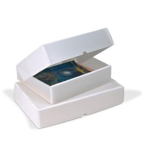Long lasting and good quality PP corflute boxes for office file storage use