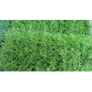 Quality High Density Natural Appearance Gardens Landscape Grass Garden Carpet Grass for sale