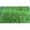 Buy cheap Golf artificial grass synthetic turf carpet rug gold strike mat grass for from wholesalers