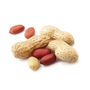 High Precision ISO Certified 60WPM Snack Food Packaging Machine For Peanut