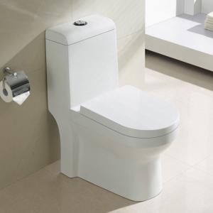 1.0 Gpf Ceramic American Standard One Piece Dual Flush Toilet Commode