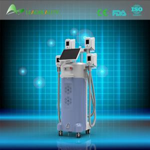 2015 professional cryolipolysis machine With four hand piece for cryolipolysis
