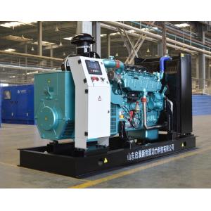 Natural gas generator LPG generator 200kw