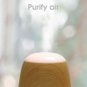 Home Electric Aroma Diffuser Water Soluble Essential Oil Air Humidifier