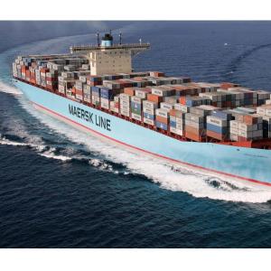 40HQ 45HQ International Sea Freight Forwarding , International Sea Cargo