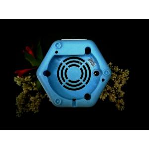 Compact Design Electric Aromatherapy Diffuser Super Quiet Design No Noisy