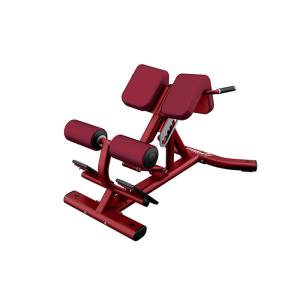 China 127x94x97cm Commercial Grade Gym Equipment Back Extension Roman Chair Machine on sale