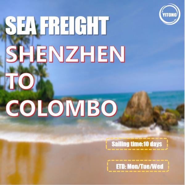 Buy Shipping Agent From Shenzhen to Colombo Sri Lanka at wholesale prices