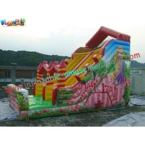 Popular Full Printing Commercial Inflatable Water , Customized Inflatable Slide