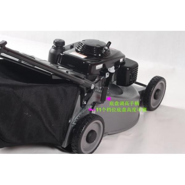 Buy self propelled  5.5HP Hand Push Electric Corded Lawn Mower 163CC 3 Years Warranty at wholesale prices