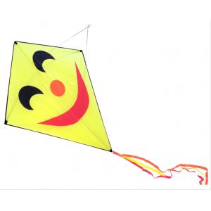 China Fiberglass Frame Diamond Stunt Kite Kid Use With 30m String Line 124*152cm on sale