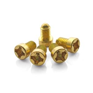 Plain Finish Brass Cross Recessed Special Screw Customized With Non Standard