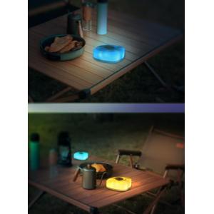 Custom Logo Camping Decorative Lights 3m 5m RGB String Lights Portable