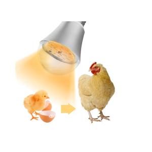 Chicken Farm Waterproof LED Illumination Lights Dimmable 9W