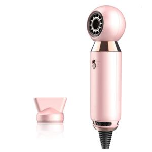 20*5cm Mini Moisturizing Electric 800W Portable Hair Blower