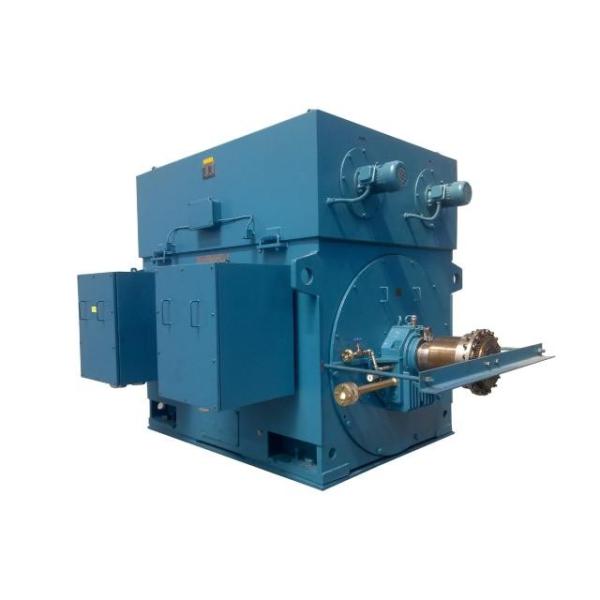 50HZ or 60HZ IP23/ IP44/ IP54 motor 690V/ 15000V Squirrel Cage Asynchronous