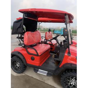 Enhanced Visibility 2 Seater Golf Cart With Striking LED Lights