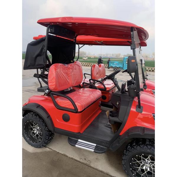 Enhanced Visibility 2 Seater Golf Cart With Striking LED Lights