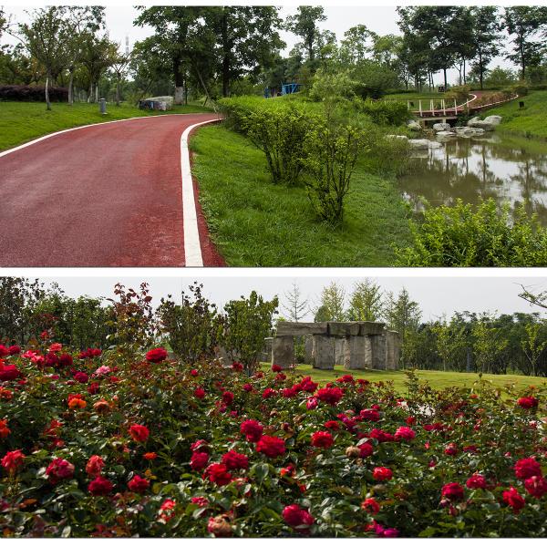 18mm Anamorphic Camera Lens , Super Wide 2x Anamorphic Lens For Cell Phone Photography