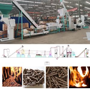 Pine Wood Pellet Production Line 1TPH-10TPH Birch Poplar Biomass Pellet Line