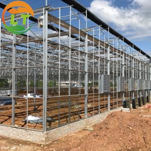 High Yield Three Layer Glass Greenhouse for Optimal Plant Growth and Vegetable