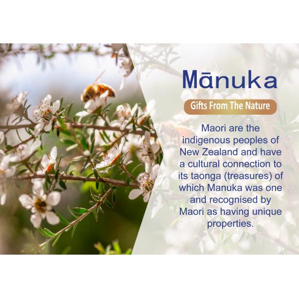 UMF15+ Natural Bee Honey 250g Organic Pure Raw Honey Manuka Honey from New Zealand Natural Bee Honey