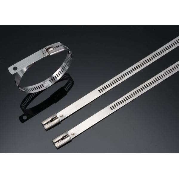 Buy Naked SS304/SS316 Ladder Type Stainless Steel Cable Ties Self Locking 450MM at wholesale prices